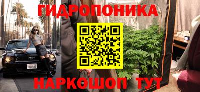 стафф Пушкино